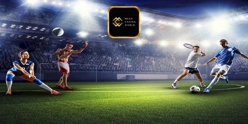 মৌলিক বাজির ধরন সংজ্ঞা