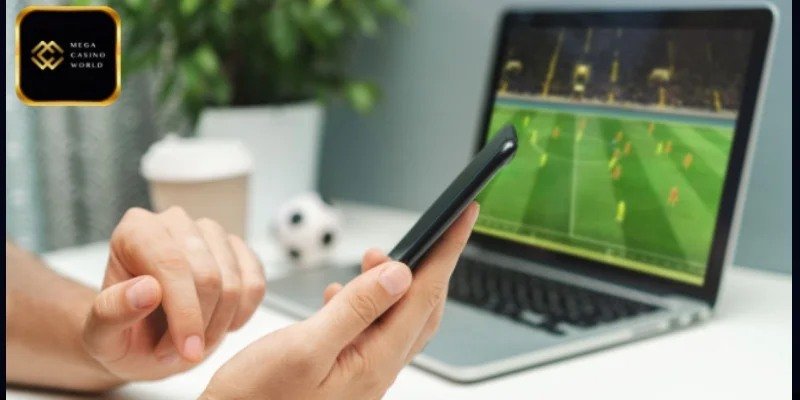 1xBet অ্যাপ্লিকেশন পর্যালোচনা - বিভিন্ন বেটিং অপশন