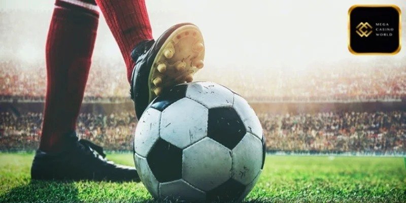 ইন্টারফেস: সকল বুকমেকারের জন্য দীর্ঘমেয়াদী উন্নয়ন প্ল্যাটফর্ম