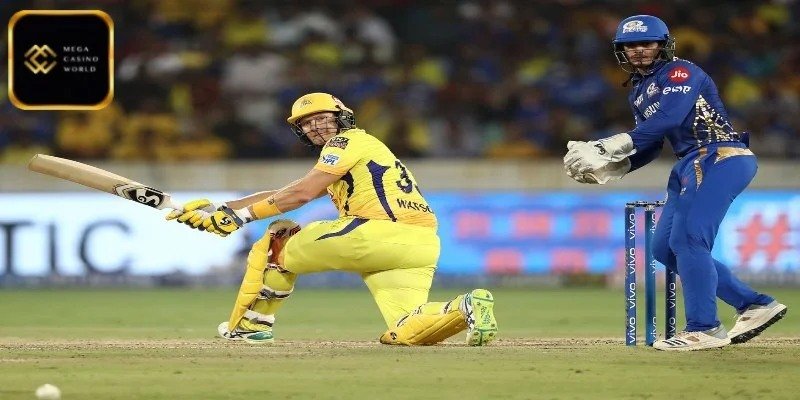 ক্রিকেট বাজির অভিজ্ঞতা - বাজির রেকর্ড রাখা ও বিশ্লেষণ করা