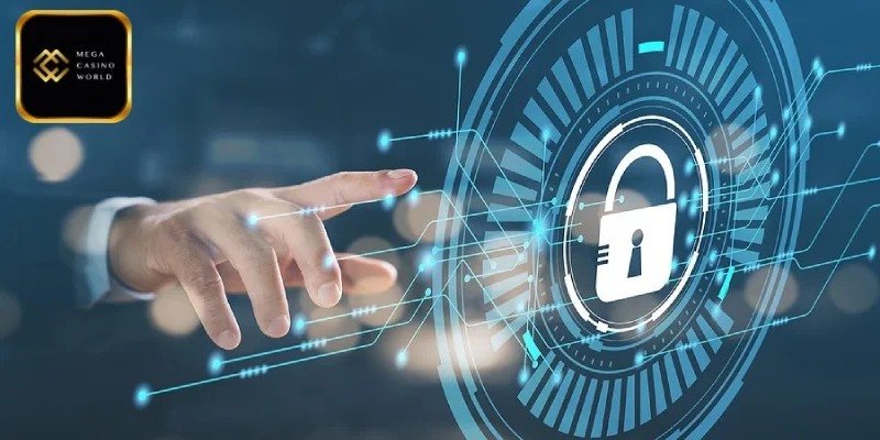 গোপনীয়তা নীতির সারাংশ